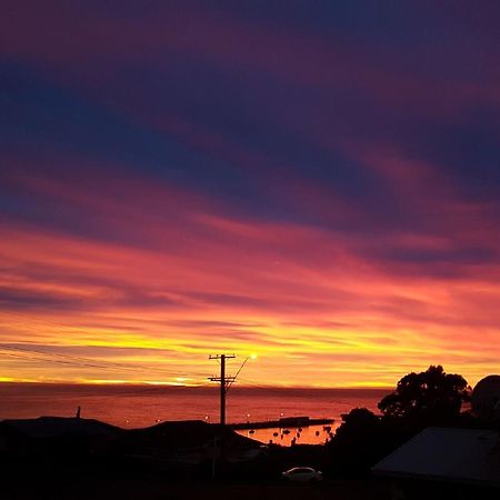The Cottage Oamaru Esterno foto